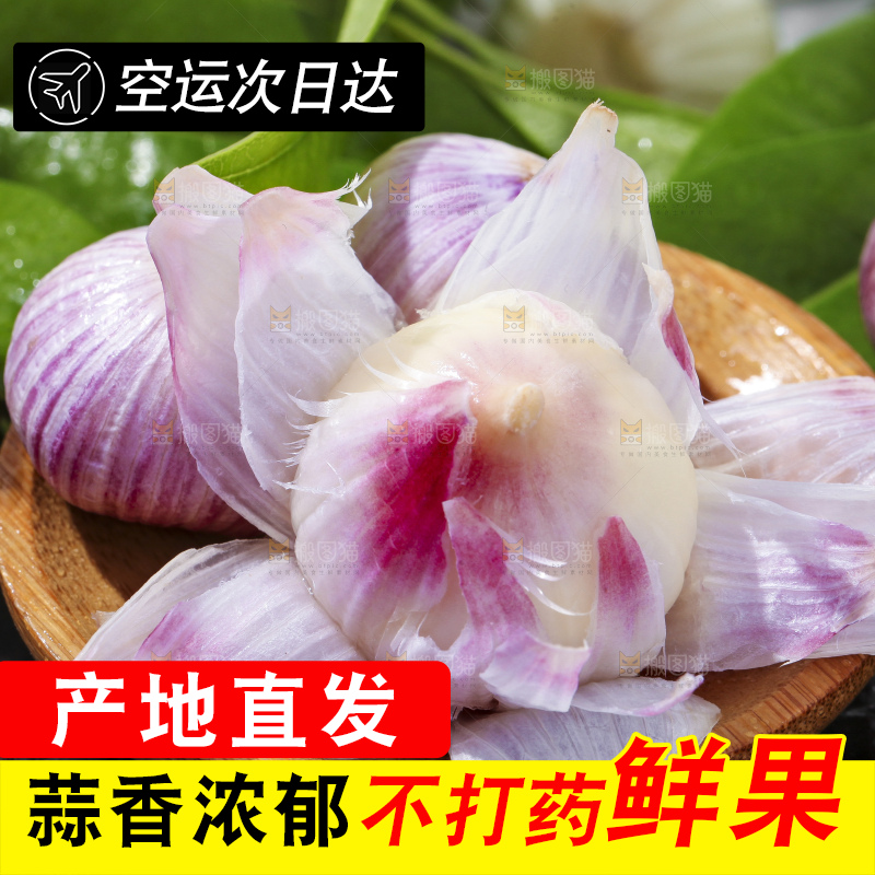 碟子里装着紫皮独蒜