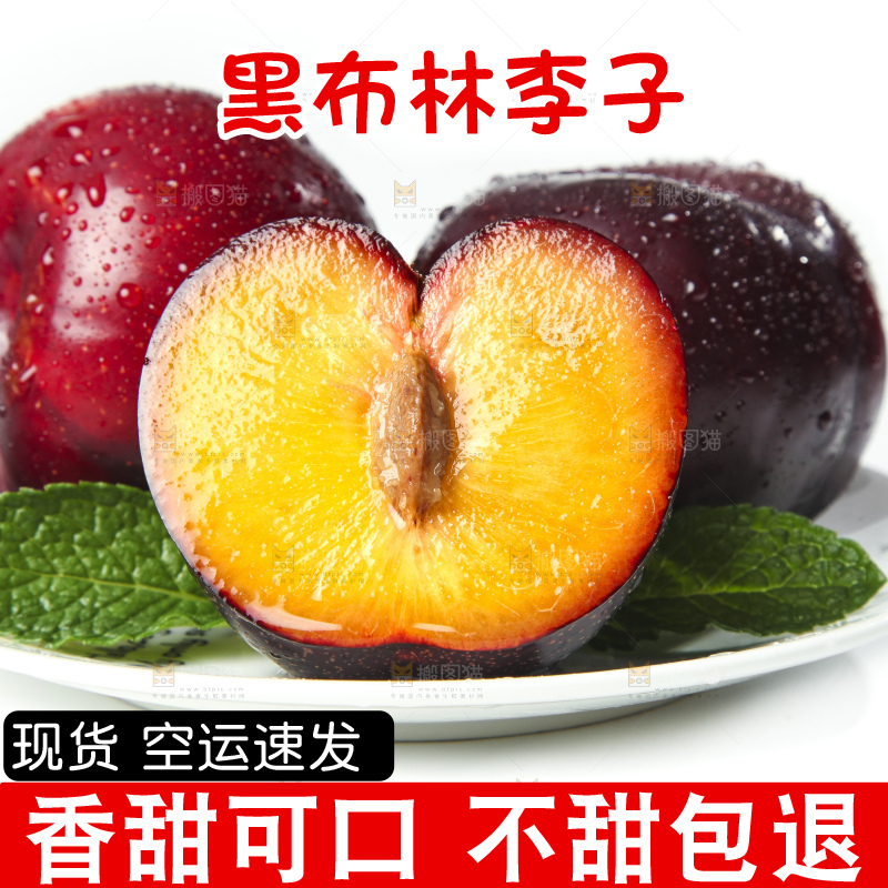 盘子里装着黑布朗