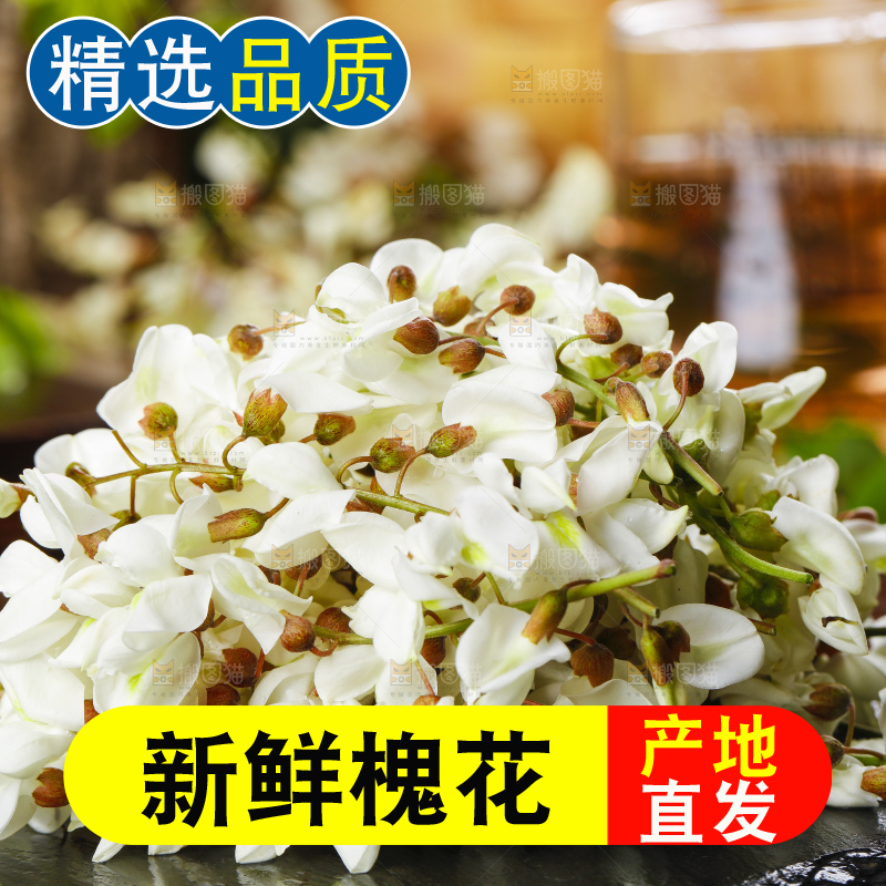 黑底上堆放着一堆的槐树花