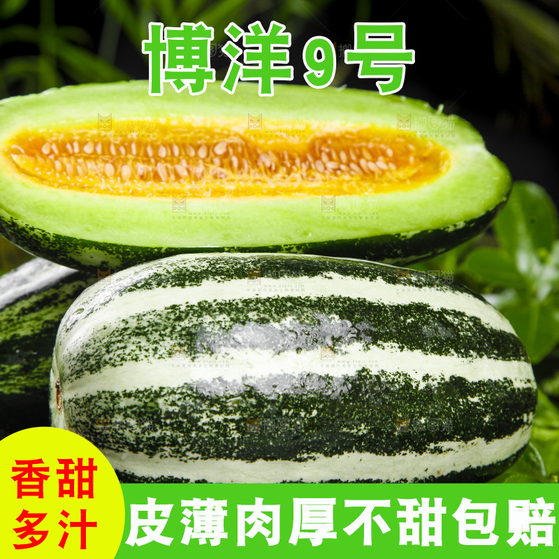 黑底上放着博洋甜瓜