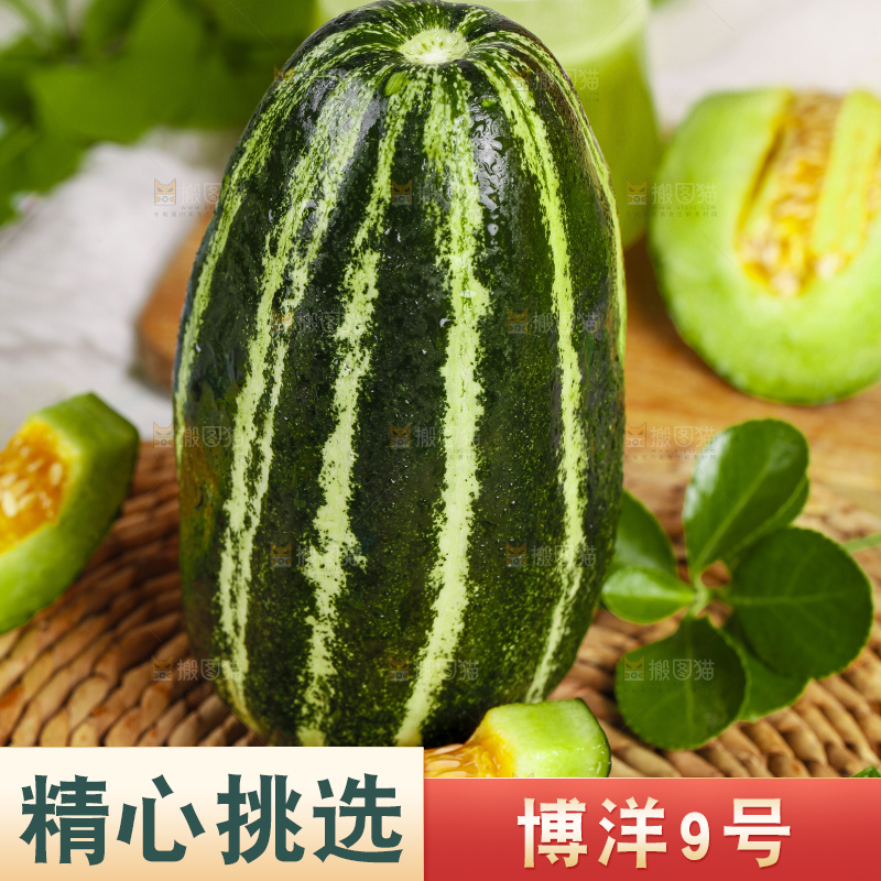 编织垫上放着博洋9号甜瓜