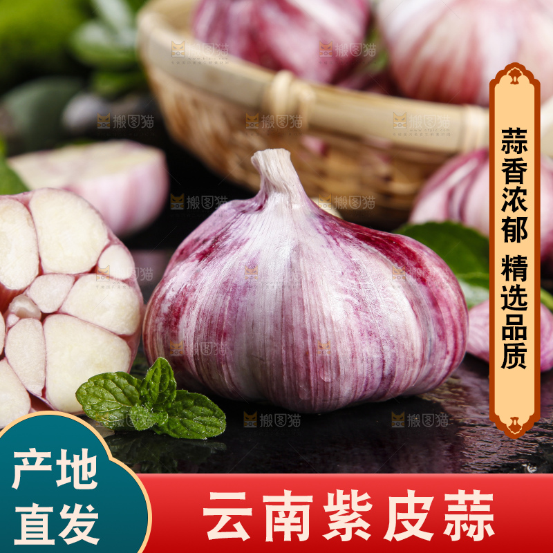黑底上放着云南紫皮大蒜