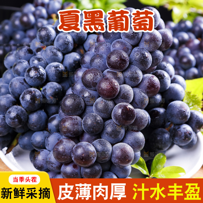 盘子里装着夏黑葡萄