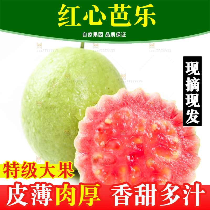 白底上摆放着红心番石榴