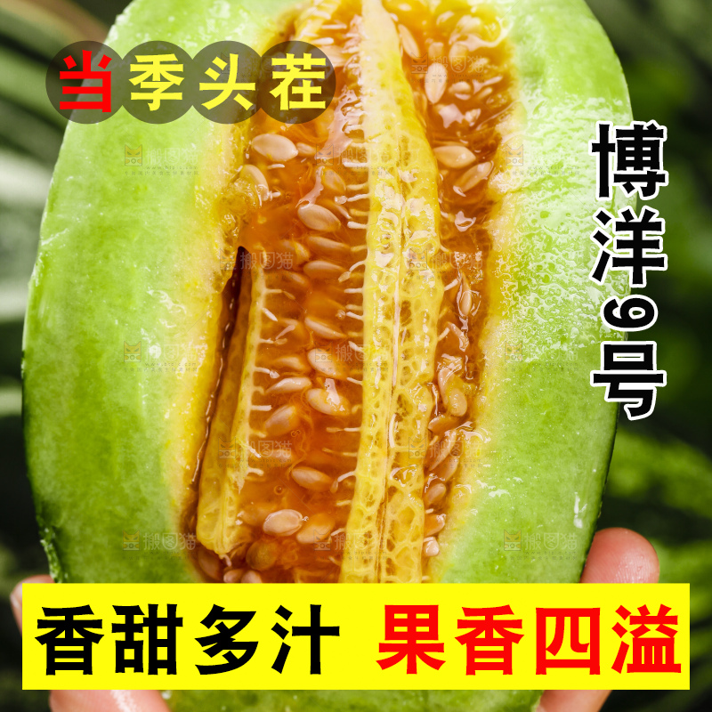 手里拿着花皮甜瓜