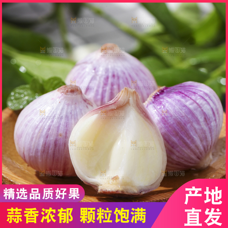 碟子里装着紫皮独蒜