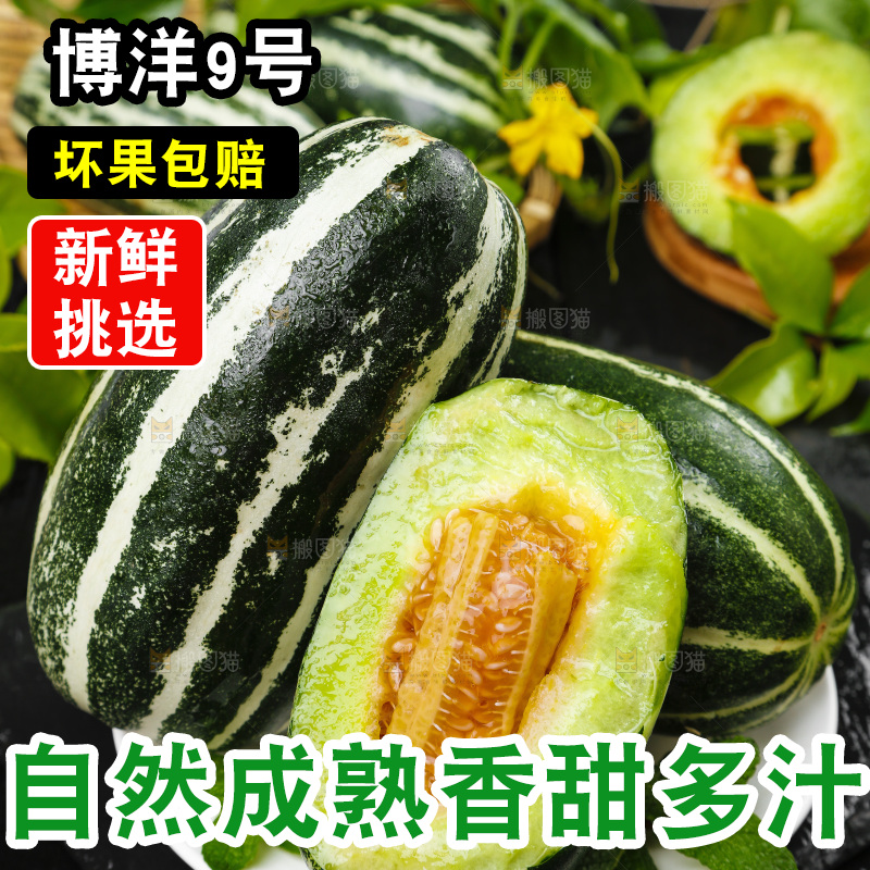 盘子里装着博洋蜜脆甜瓜
