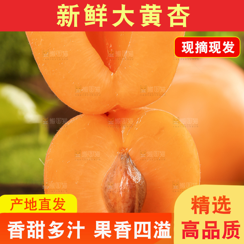 木底上摆放着大黄杏