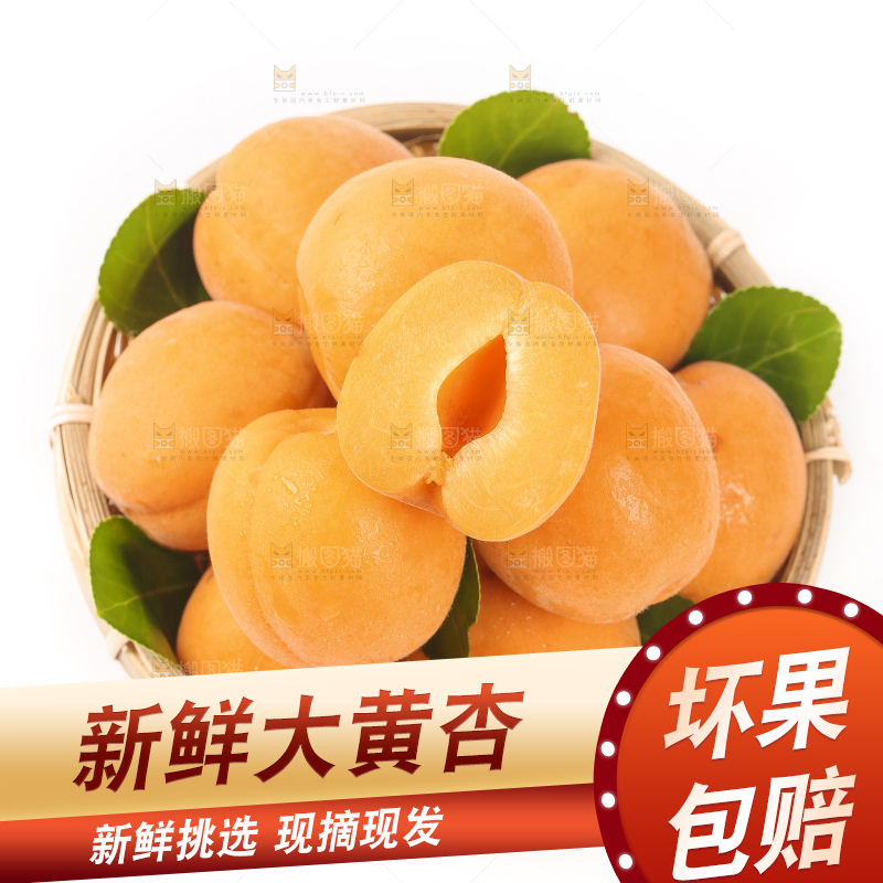 篮子里装着烟台杏子