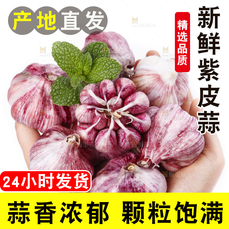 手里捧着一把紫皮多瓣蒜