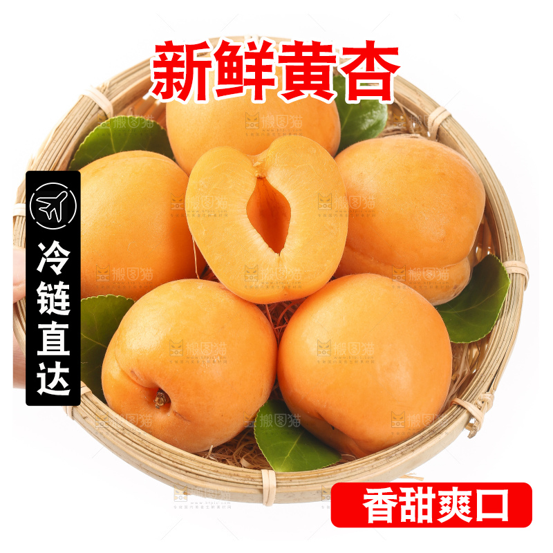 篮子里装着烟台杏子