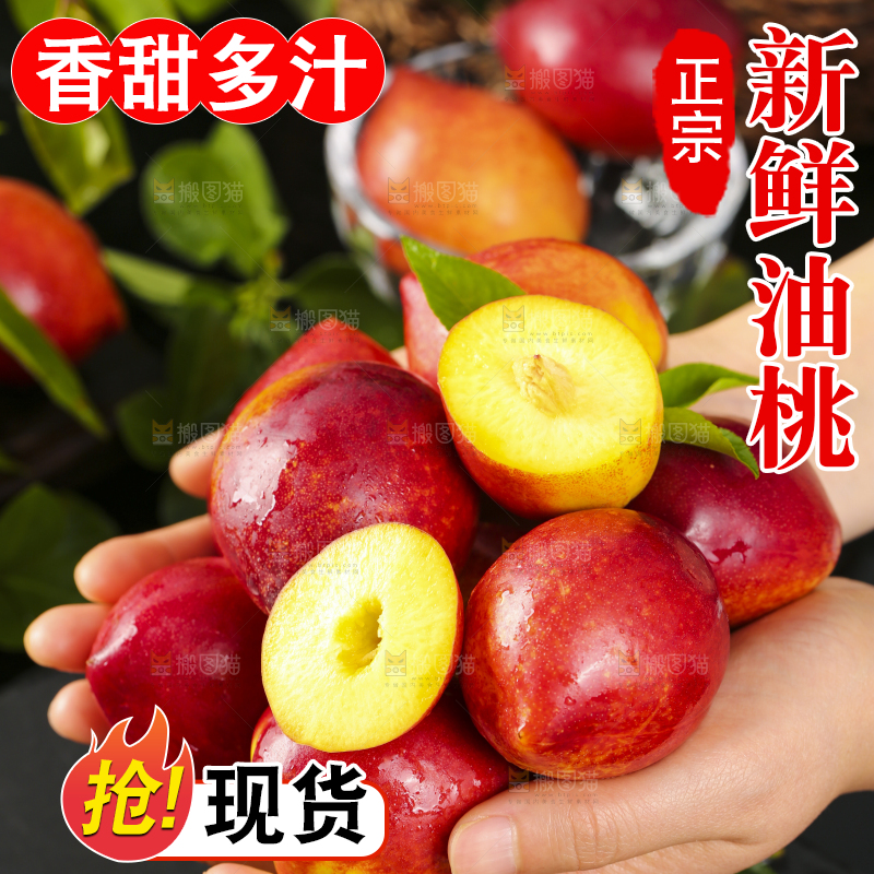 手里捧着大连油桃