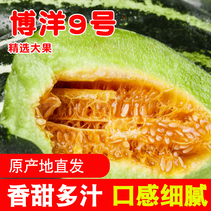 白底上放着博洋蜜脆甜瓜