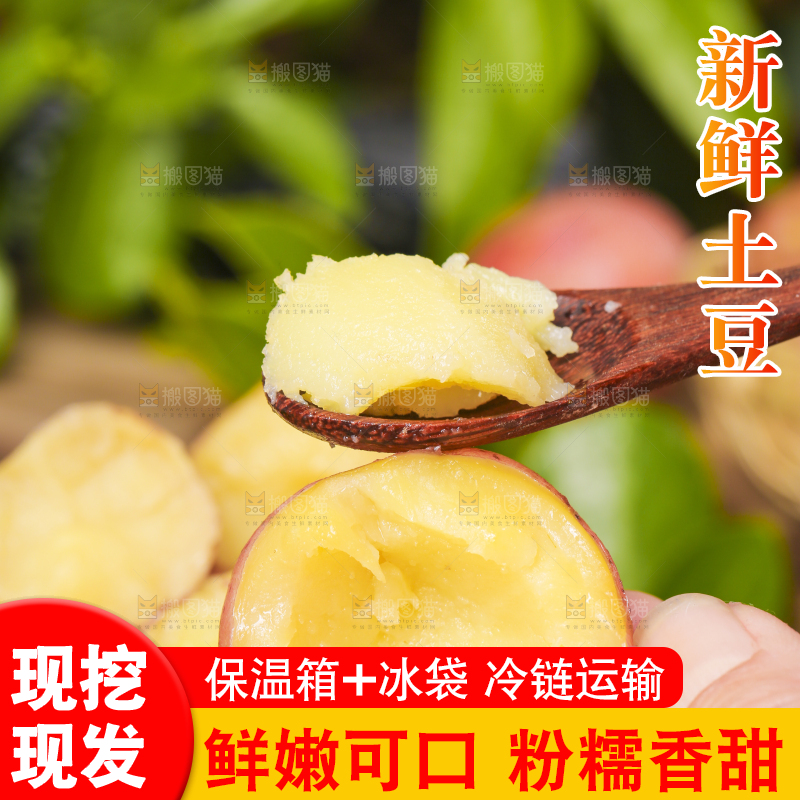 手里拿着土豆