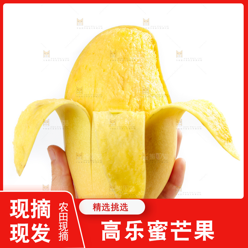 手里拿着甜心芒