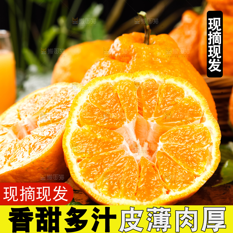 黑底上放着不知火丑橘