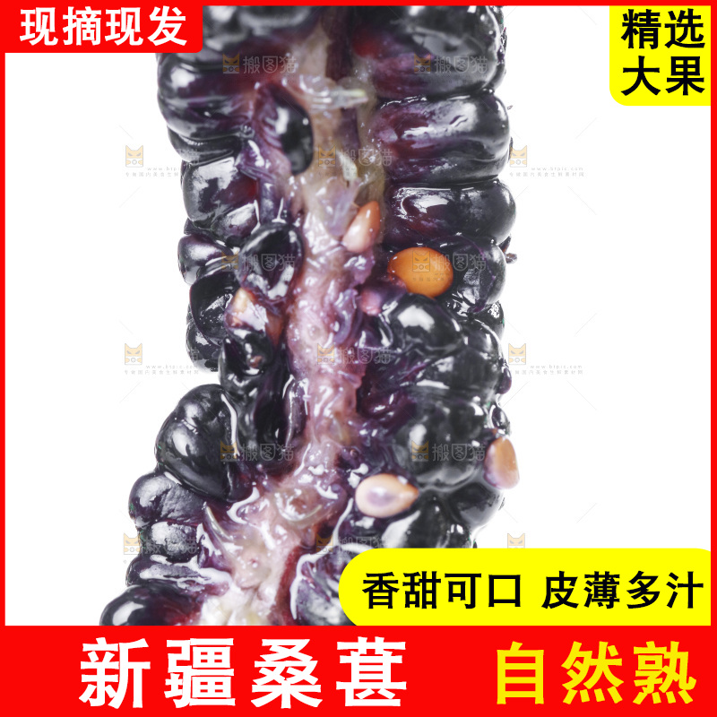 手里拿着桑葚子