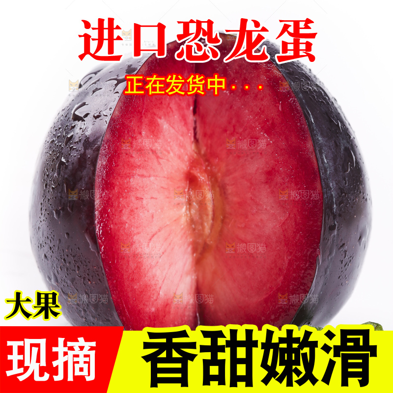 白底上放着智利进口恐龙蛋