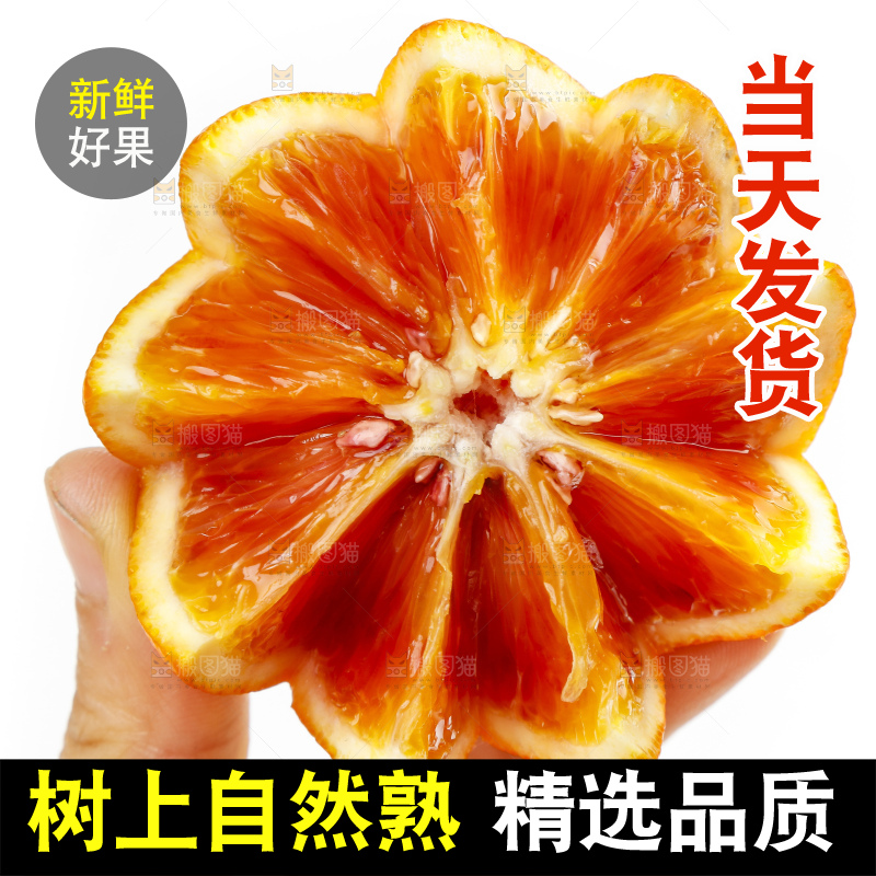 手里拿着塔罗科血橙