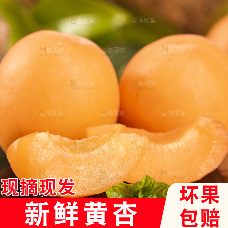 黑底上摆放着大黄杏