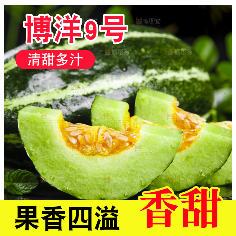 黑底上放着博洋甜瓜