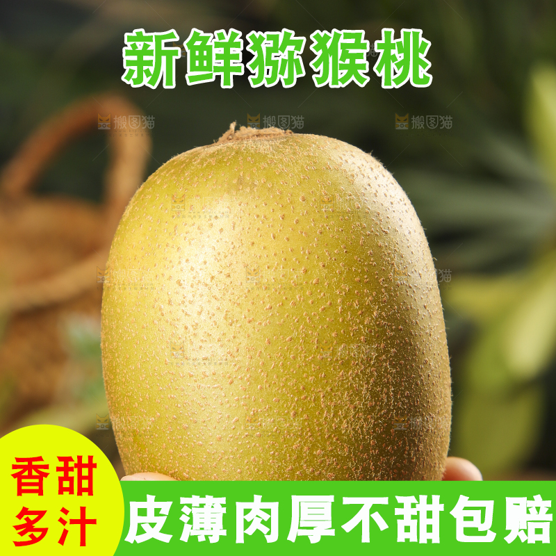 手里拿着黄金猕猴桃