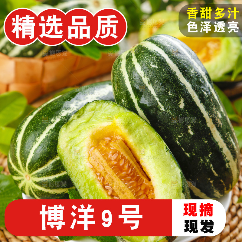 盘子里装着花皮甜瓜