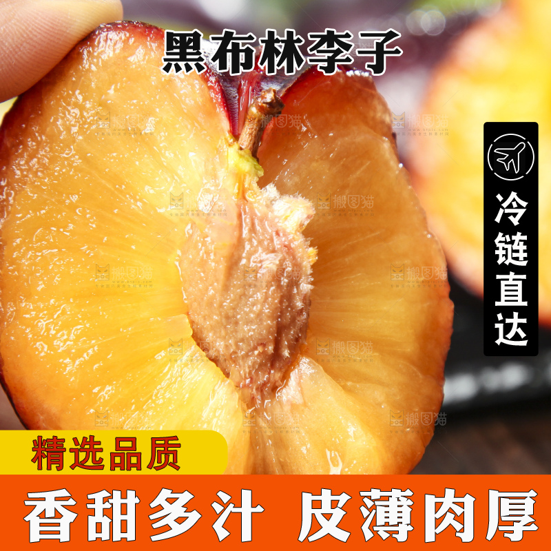 深底上放着智利黑布林李子