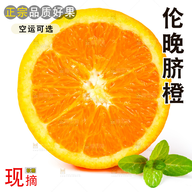 白底上放着新鲜伦晚脐橙