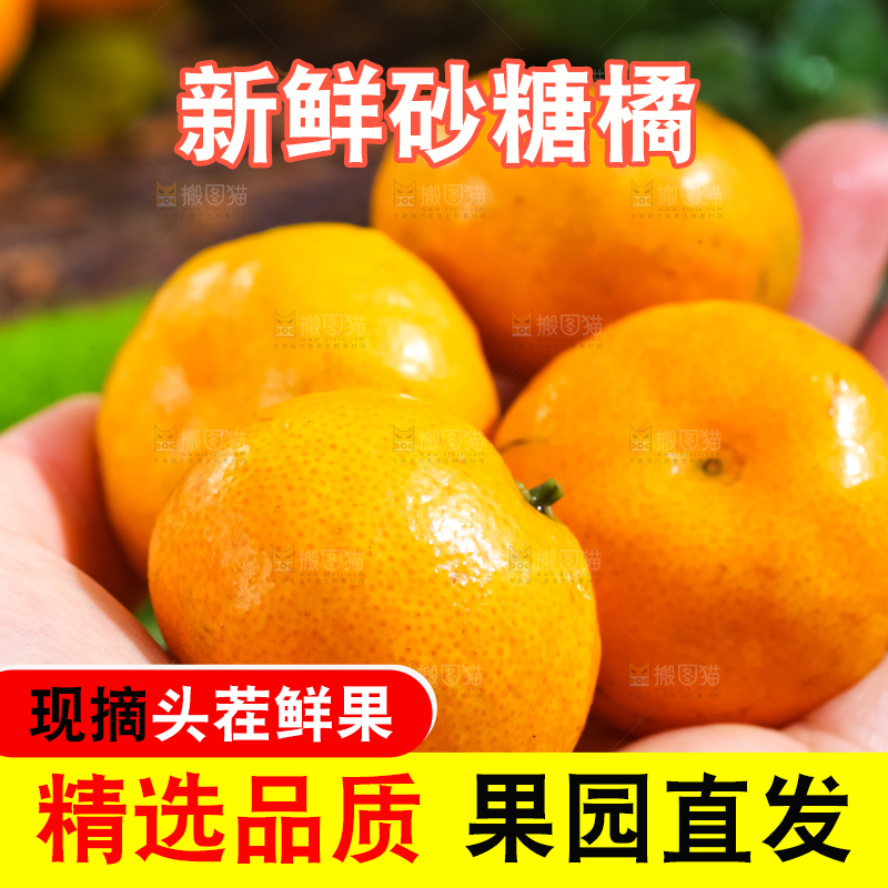 手里拿着小蜜橘