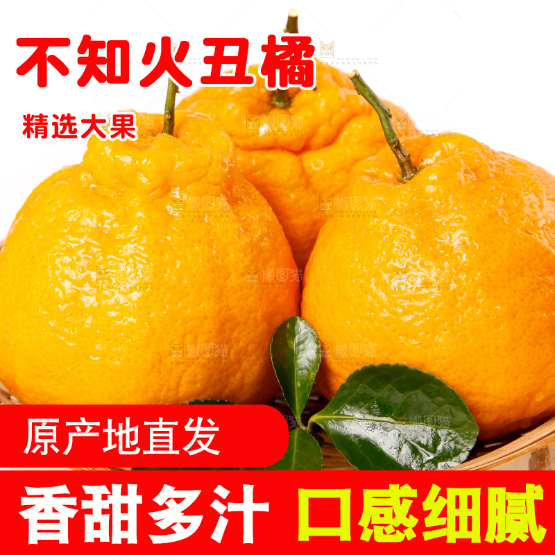篮子里装着不知火柑橘