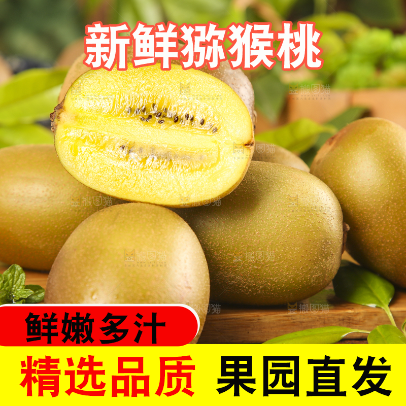 木底上摆放着蒲江黄心猕猴桃