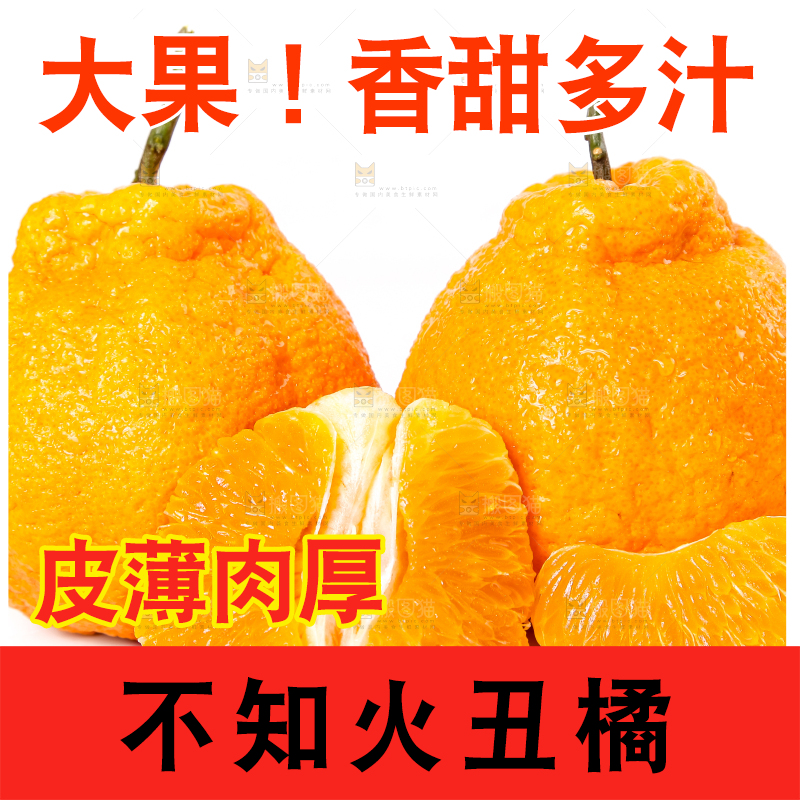 白底上摆放着柑橘