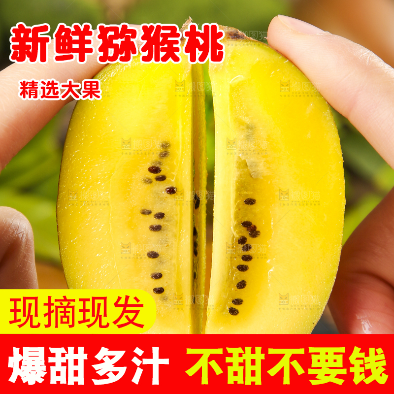 手里拿着黄金猕猴桃