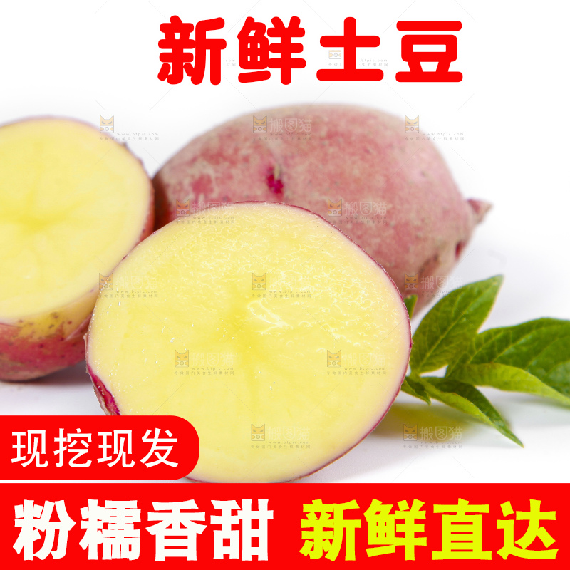 白底上摆放着红皮黄心土豆