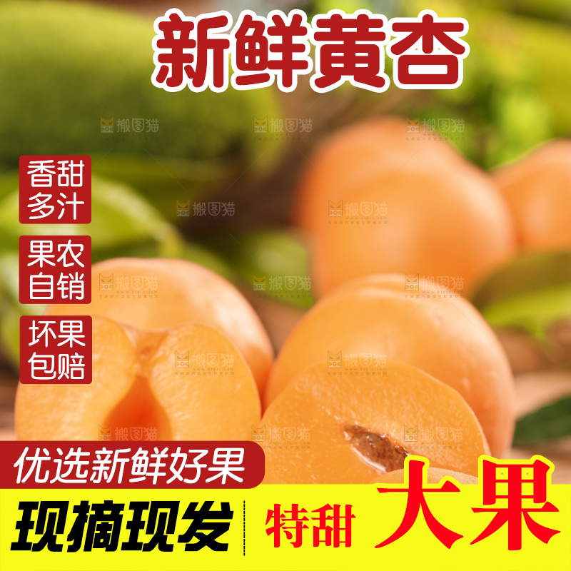 木底上摆放着烟台杏子