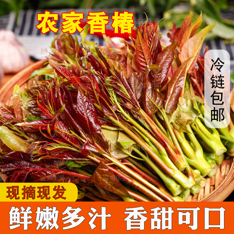 篮子里放着头茬红香椿