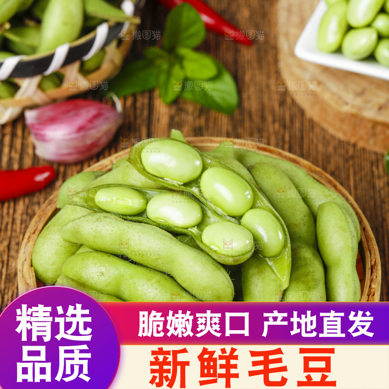篮子里装着绿毛豆