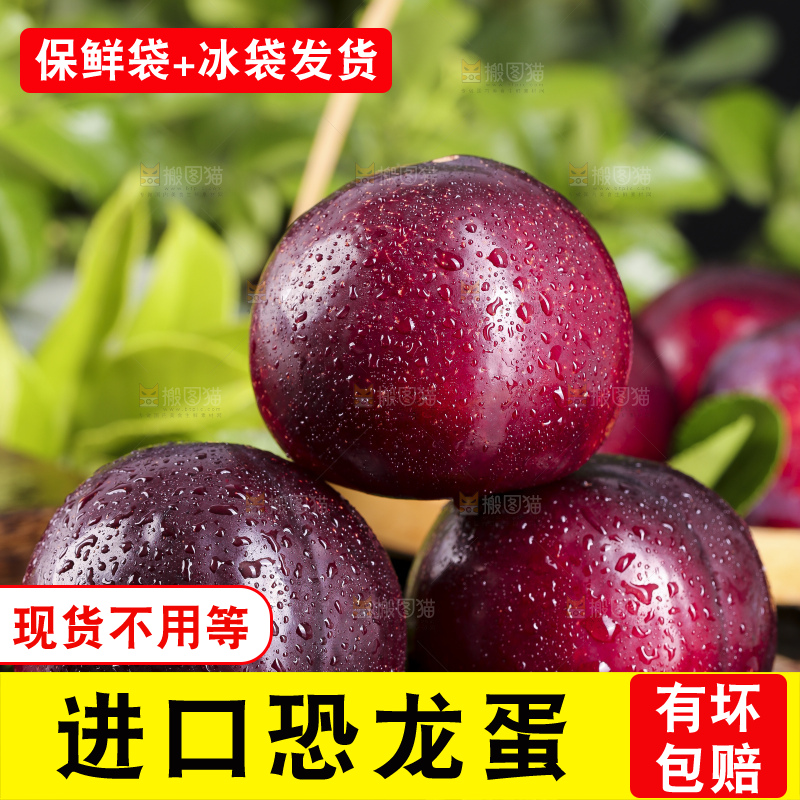 黑底上摆放着恐龙蛋李