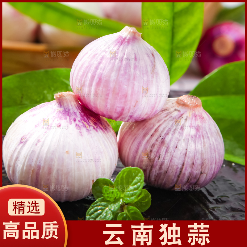 深底上摆放着紫皮独蒜