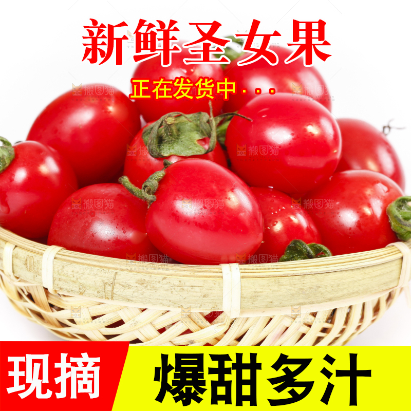 篮子里装着新鲜圣女果