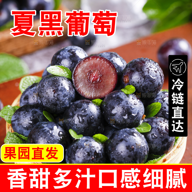 篮子里装着夏黑葡萄