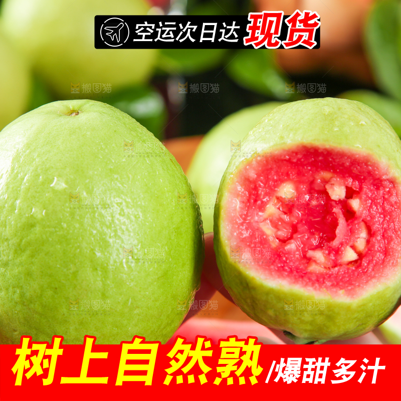 手里拿着红心番石榴