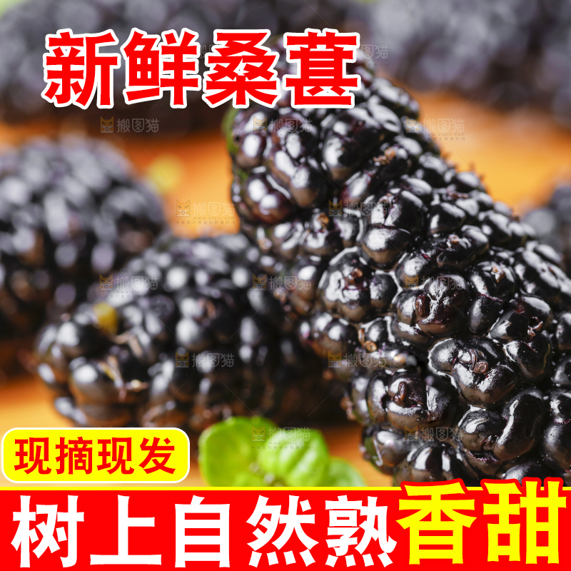 木底上摆放着黑桑葚
