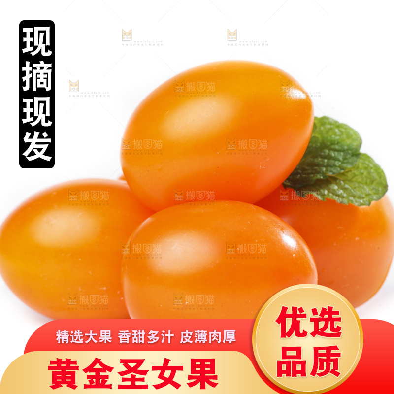 白底上摆放着山东黄金圣女果