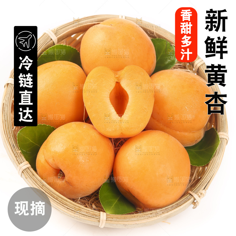 篮子里装着烟台杏子