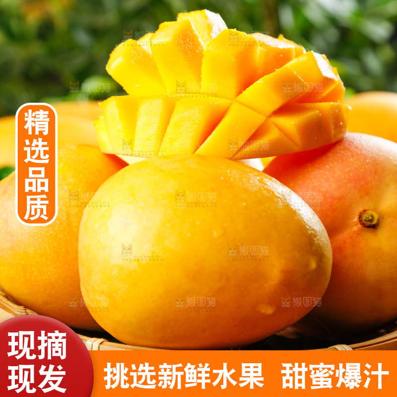 篮子里装着澳大利亚芒果