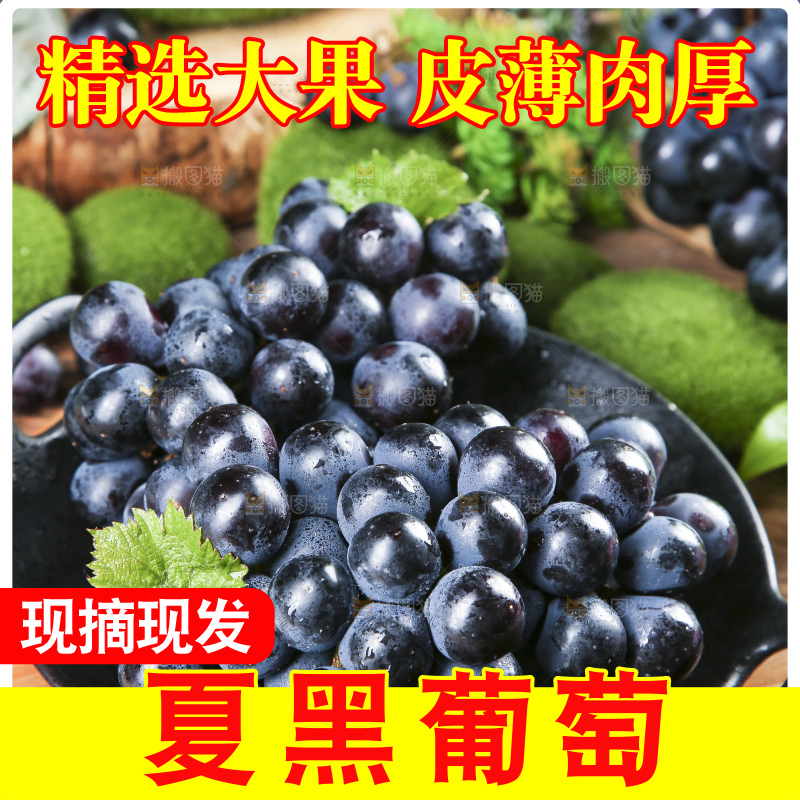 碟子里装着黑加仑