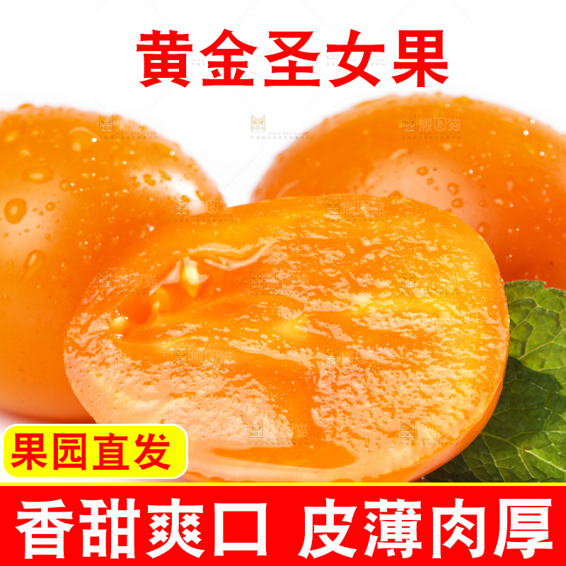 白底上放着黄金小番茄