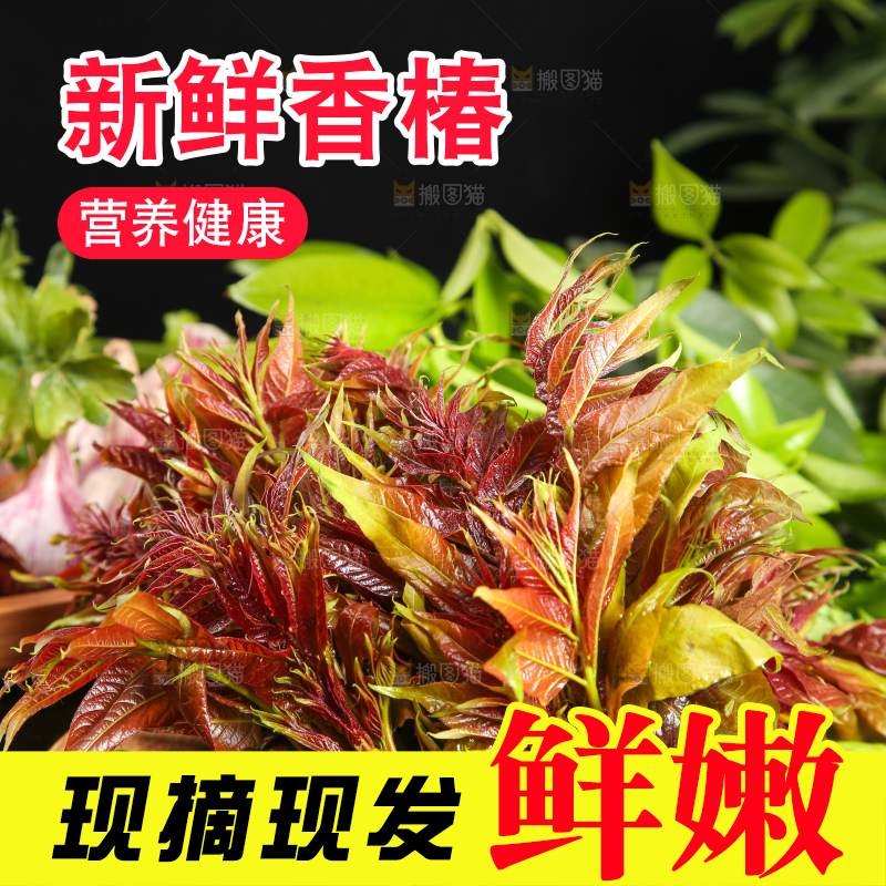 木底上放着一把秦岭香椿